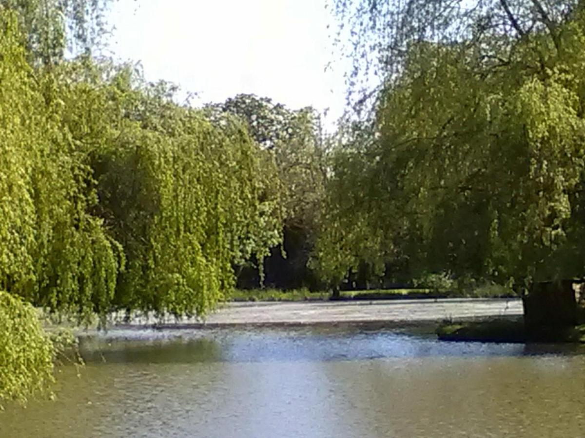 La Lune Lake Joue-en-Charnie Exterior photo