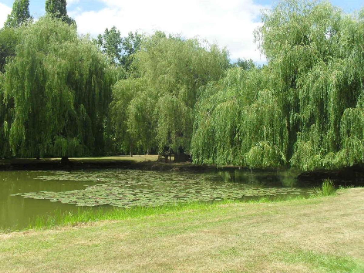 La Lune Lake Joue-en-Charnie Exterior photo